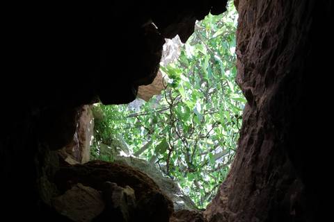 View from inside a dark rocky cave looking out to leafy green foliage and daylight.