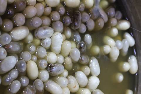 Close-up of silkworm cocoons soaking in warm liquid during silk production process.