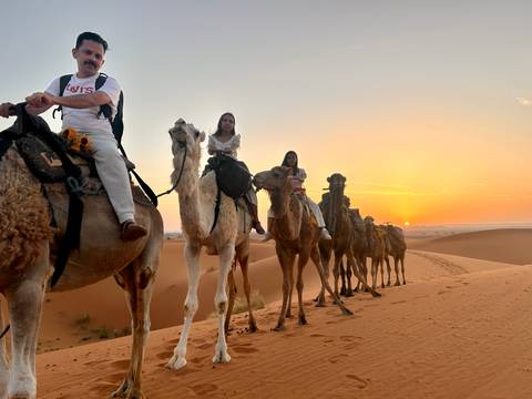 Travelers riding a line of camels across golden dunes at sunrise in the Sahara Desert.