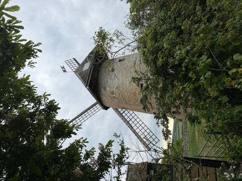 Historic stone windmill with timber sails framed by leafy branches on a cloudy day.