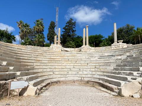 Stone seating of the Roman amphitheatre in Alexandria framed by palm trees and blue sky