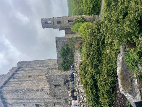 Visitors queue outside the imposing stone walls and towers of Blarney Castle amid lush greenery.