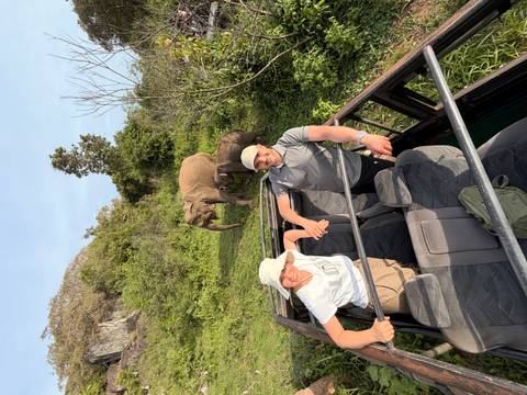Couple stand up in their open-top jeep while wild elephants graze just metres away.