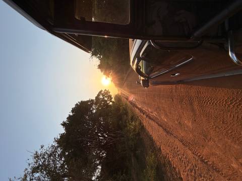View from a safari vehicle driving down a dusty track toward a rising sun.