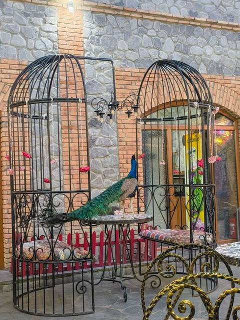 Colorful peacock standing inside a decorative wrought-iron aviary in front of brick walls and stained glass.