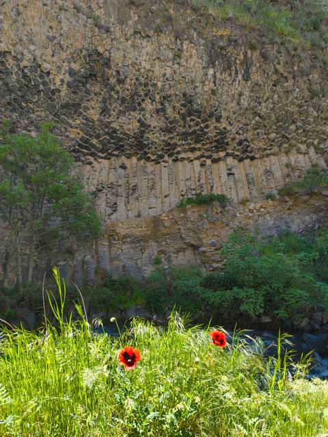 Vertical columnar basalt formations rising above green shrubs in a narrow gorge.
