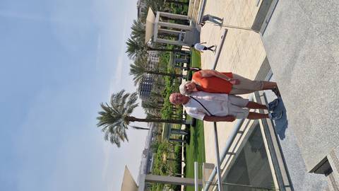Couple posing on landscaped steps lined with palm trees in a modern park on a bright sunny day.
