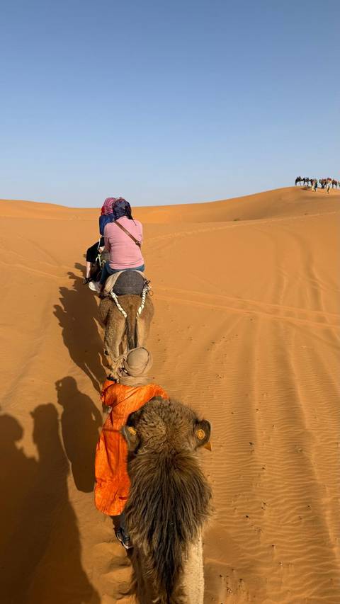 4 Tage Marokko Wüsten von Marrakesch nach Merzouga Foto von Kundenbewertung