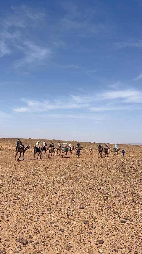 4 Tage Marokko Wüsten von Marrakesch nach Merzouga Foto von Kundenbewertung