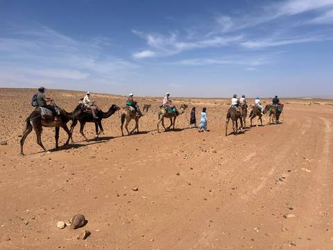 Camel caravan led by blue-robed guides across rocky desert plain.
