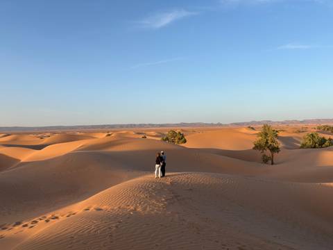 Couple standing together on high dune surrounded by golden desert.