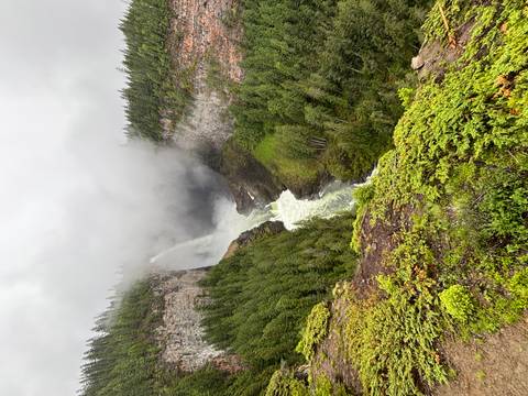 Powerful waterfall plunging into a misty canyon surrounded by dense evergreen forest.