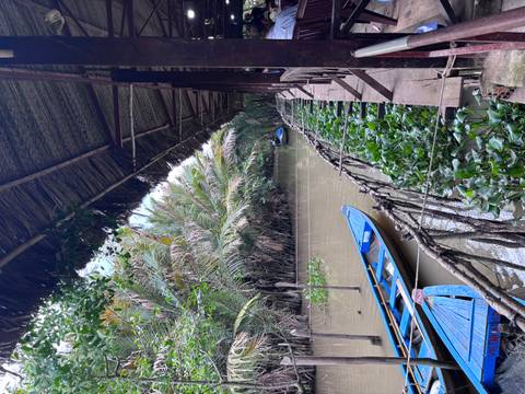 A narrow jungle-lined canal with moored blue wooden boats under a thatched roof walkway in the Mekong Delta.
