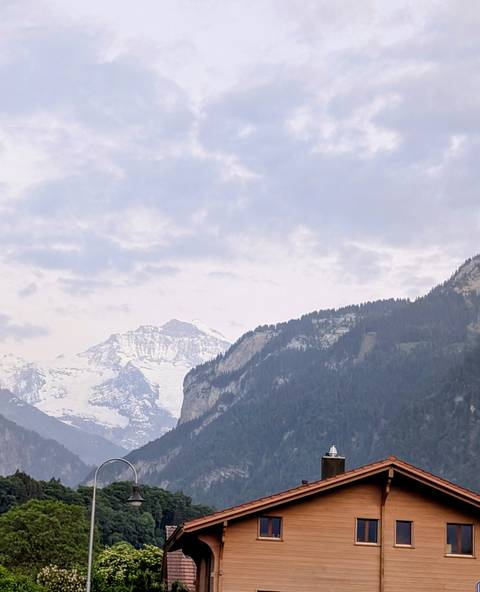 Misty alpine peaks with overcast sky and forested ridges