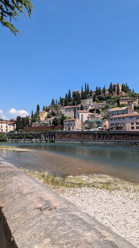 Hillside of Verona with cypress trees overlooking the Adige River