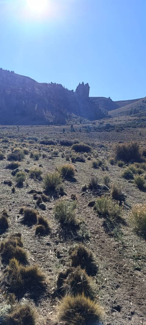 Photo d'avis client sur Les points forts du Chili et de l'Argentine