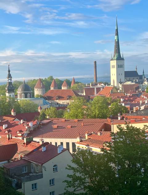 Panoramic view of Tallinn Old Town rooftops, spires and defensive towers with the Baltic Sea beyond.