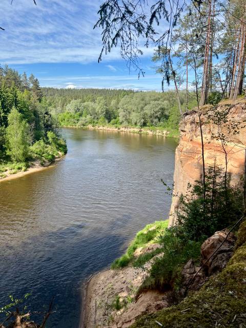A calm river curves between forested banks with a sandstone cliff on a bright summer day