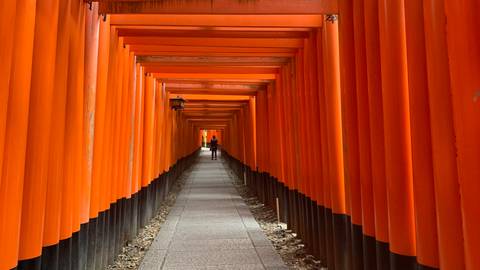 Endless corridor of vivid orange torii gates forming a tunnel at Kyoto’s Fushimi Inari Shrine