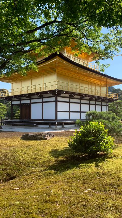 Side view of Kyoto’s golden Kinkaku-ji pavilion sparkling in the sun amid manicured gardens