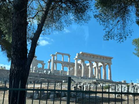 Ancient marble columns and ruins of the Erechtheion on the Acropolis framed by tall pine trees