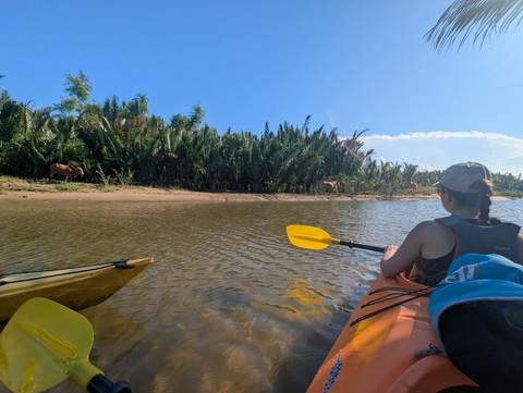 Kayaker paddling along a palm-lined river while water buffalo graze on the bank.