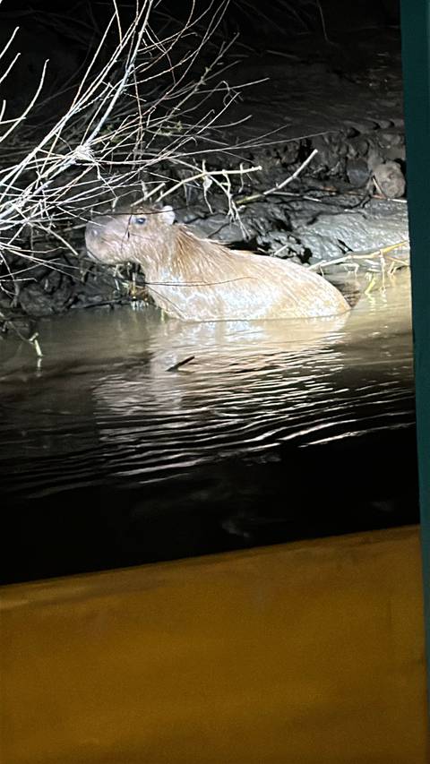 Nighttime photo of rippling muddy river water with indistinct object and flash glare.