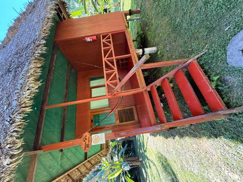 Simple wooden jungle lodge with thatched roof and red steps leading up to a small porch.