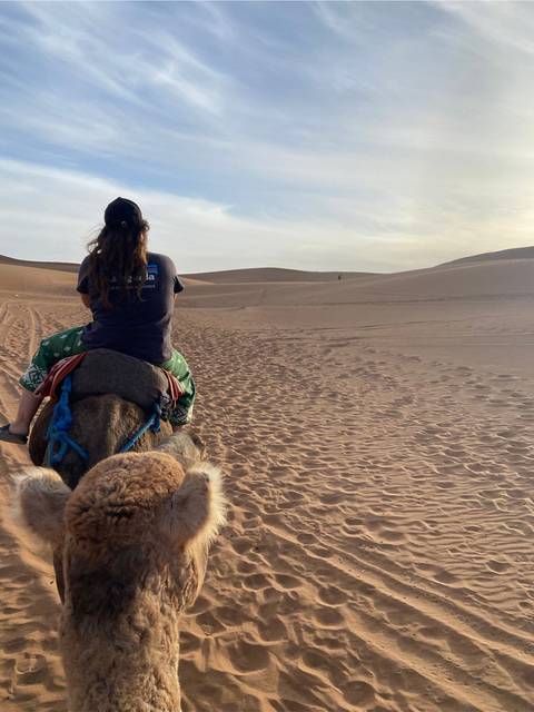 Traveller rides a camel across soft dunes, leaving rippled tracks in the evening light.