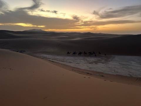 Camel caravan seen in the distance among darkening dunes as the sun sets behind the horizon.