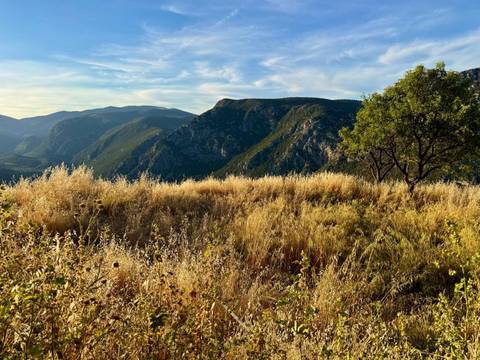 Golden grass meadow overlooking layered mountains beneath a soft evening sky.