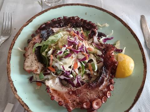 Plated octopus with fresh salad and lemon wedge ready to be enjoyed.
