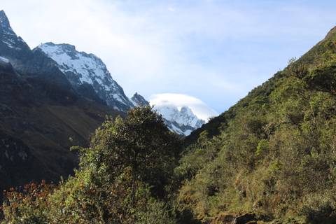 Forest-lined mountain valley with a cloud-topped snowy peak in the distance.