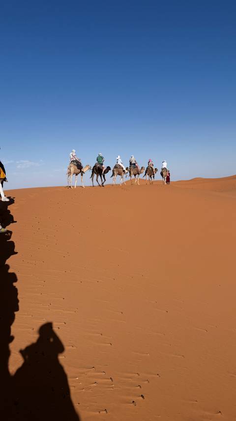 Line of tourists riding camels along the crest of an ochre sand dune against a pale blue sky.