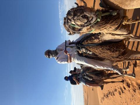 A line of travelers riding camels through golden desert dunes beneath a bright blue sky.