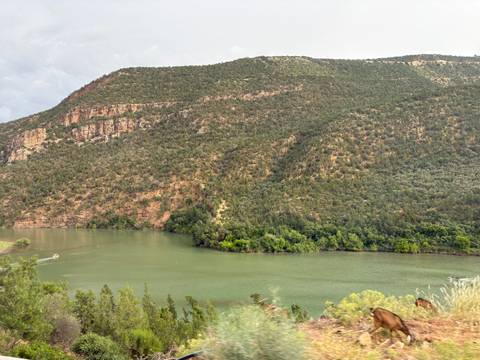 Calm green lake bordered by densely forested mountains under an overcast sky.