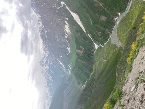 Dramatic snow-capped peaks and deep green valley with a winding river and alpine flowers.