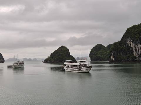 Cloudy daytime scene of traditional white cruises anchored among green limestone islands of Halong Bay.