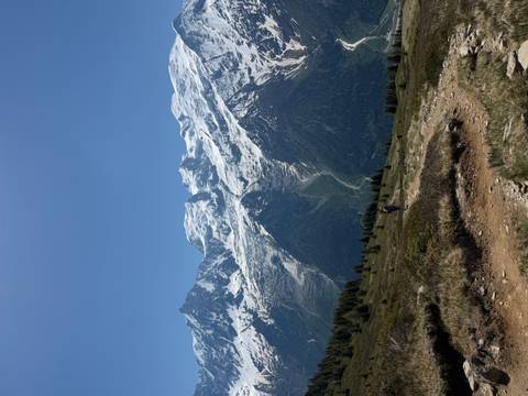 Hikers follow a dirt path across alpine meadow toward dramatic snowy peaks.