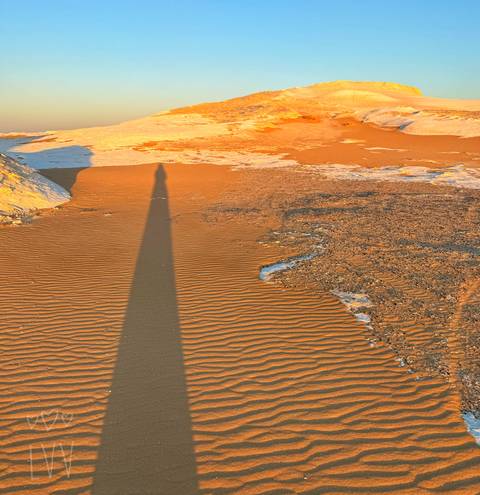 Long shadow of a person cast across rippled desert sand at sunset