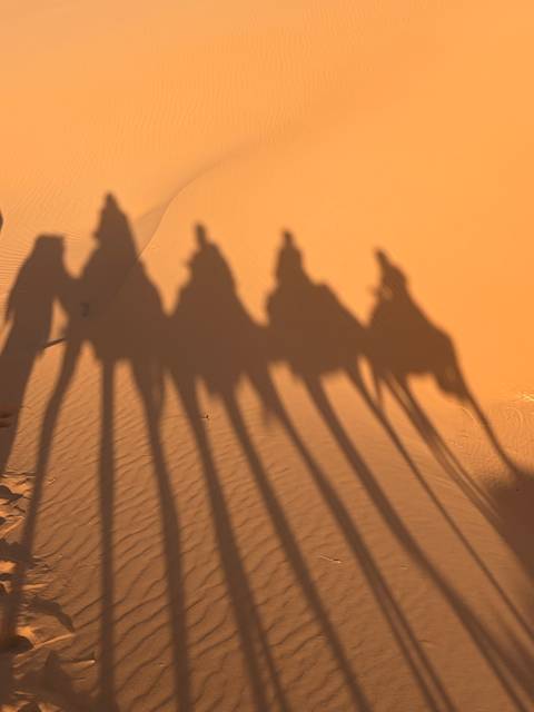 Silhouetted camel caravan shadows stretching across golden sand dunes