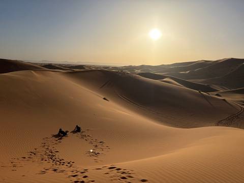 Wide expanse of rolling dunes at sunset with two tiny figures descending a slope