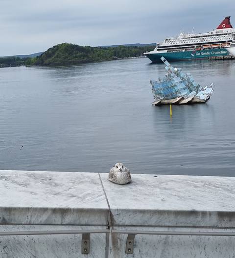 Glass iceberg sculpture floating in a calm harbor with a resting gull in the foreground.