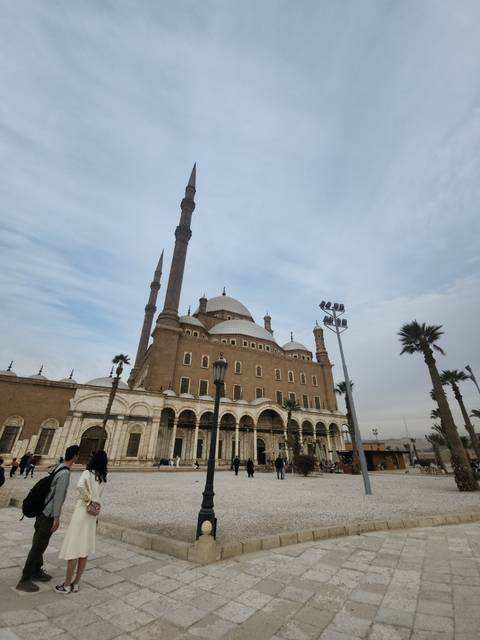 Large mosque with domes and minarets against a light sky, similar to previous Cairo image