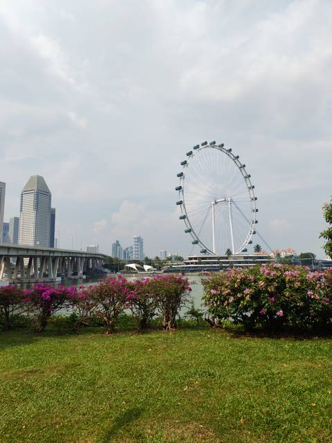 Singapore Flyer giant observation wheel beside waterfront with city skyline