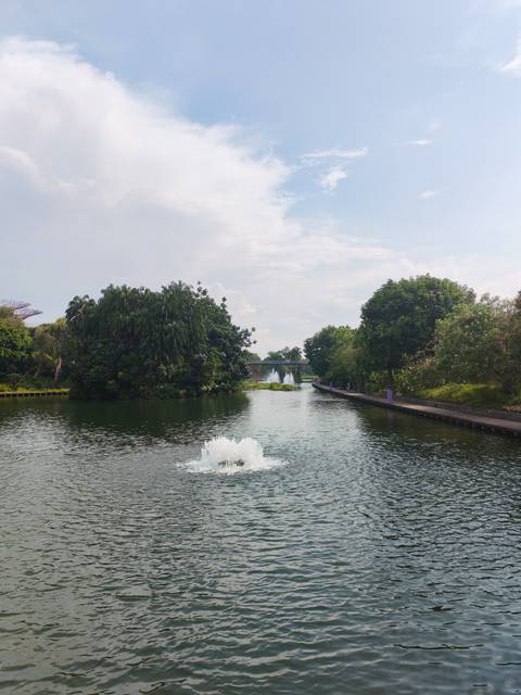 Calm waterway flanked by lush trees and a fountain in Singapore's Gardens by the Bay area