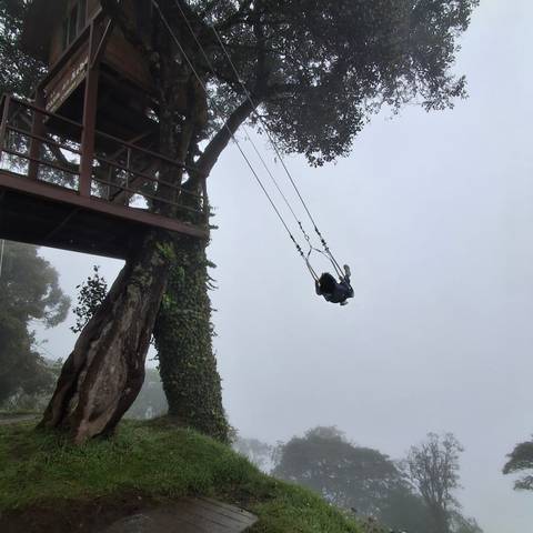 Traveler swings high from a treehouse platform into thick mist above the forest.