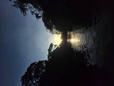 Sun sets beyond dense Amazonian trees casting golden light over a reflective river.