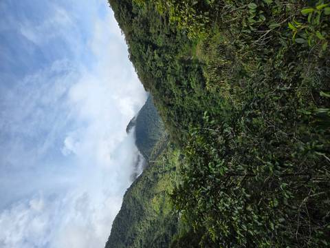 Cloud-shrouded green mountains and dense cloud forest in the Mindo valley.