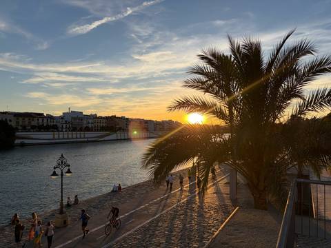 Setting sun casting flare over the Guadalquivir riverwalk framed by a palm tree.
